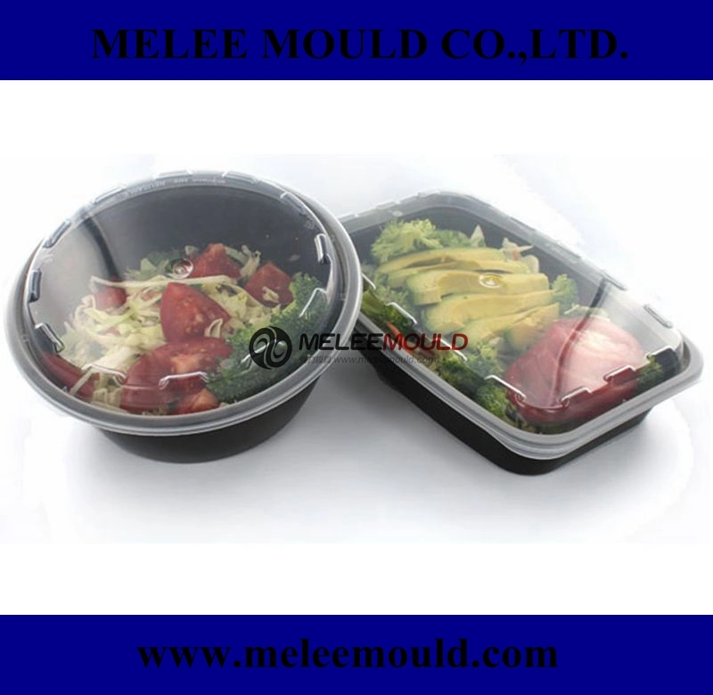 Plastic Containers for Lunch Mould