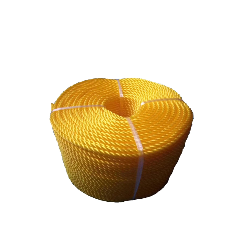 Factory Direct Supply 3/4 Strands 2-20mm Diameter PP /PE/ Nylon Monofilament Twisted Rope for Agriculture/Sea/Fishing/Packing