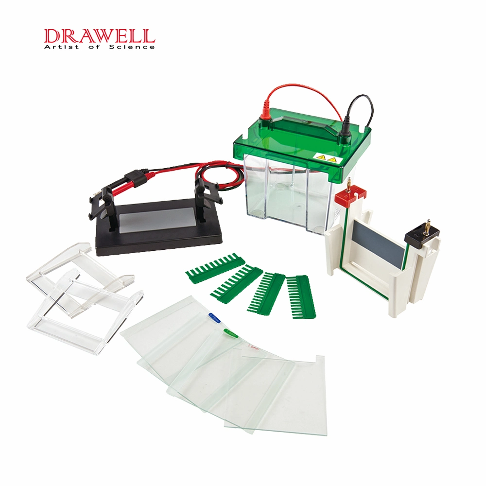 Dw-Scz2+ Mini DNA Electrophoresis Machine Price Gel Electrophoresis Equipment Vertical Electrophoresis Tank