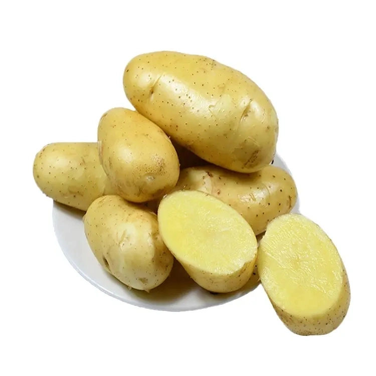 Mejor calidad de exportación de patatas chinas frescas de cosecha nueva