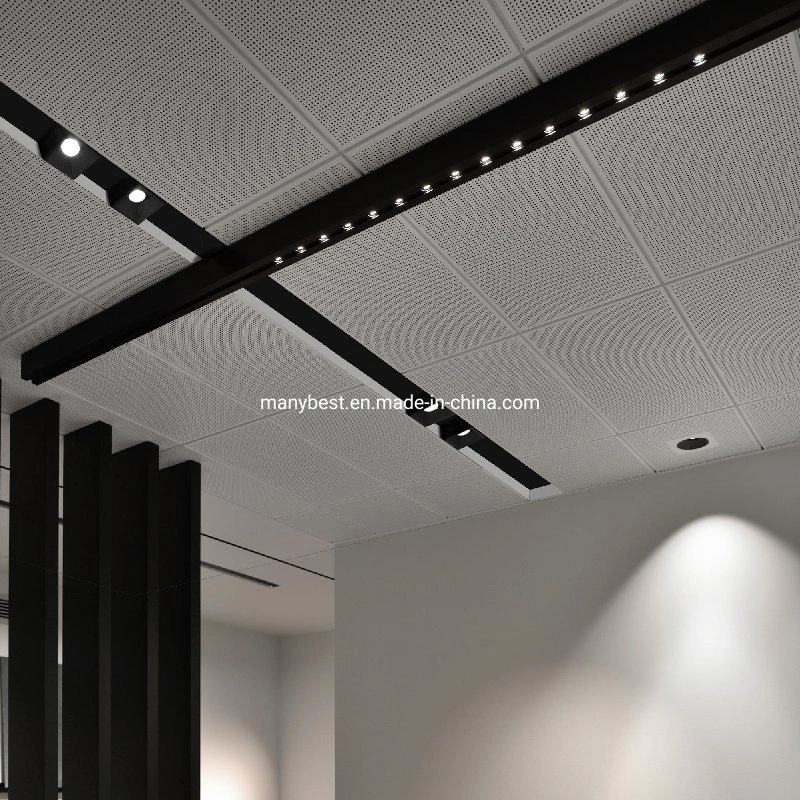 Modern Office Decorative 600*1200 Rectangular Perforated Aluminum False Metal Ceiling