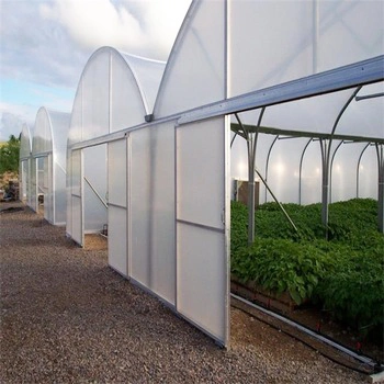 Huijing Hot Sale Multi-Span Plastic Greenhouse for Hydroponic Strawberries