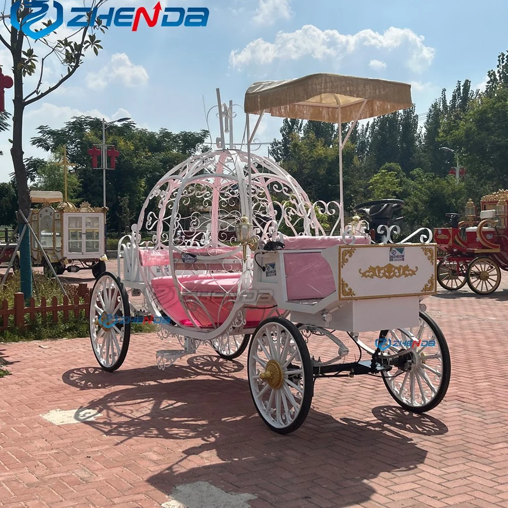 New Designed White Princess Popular Cinderella Used Horse Carriage for Sale Royal Pumpkin Wedding Sightseeing Carriages