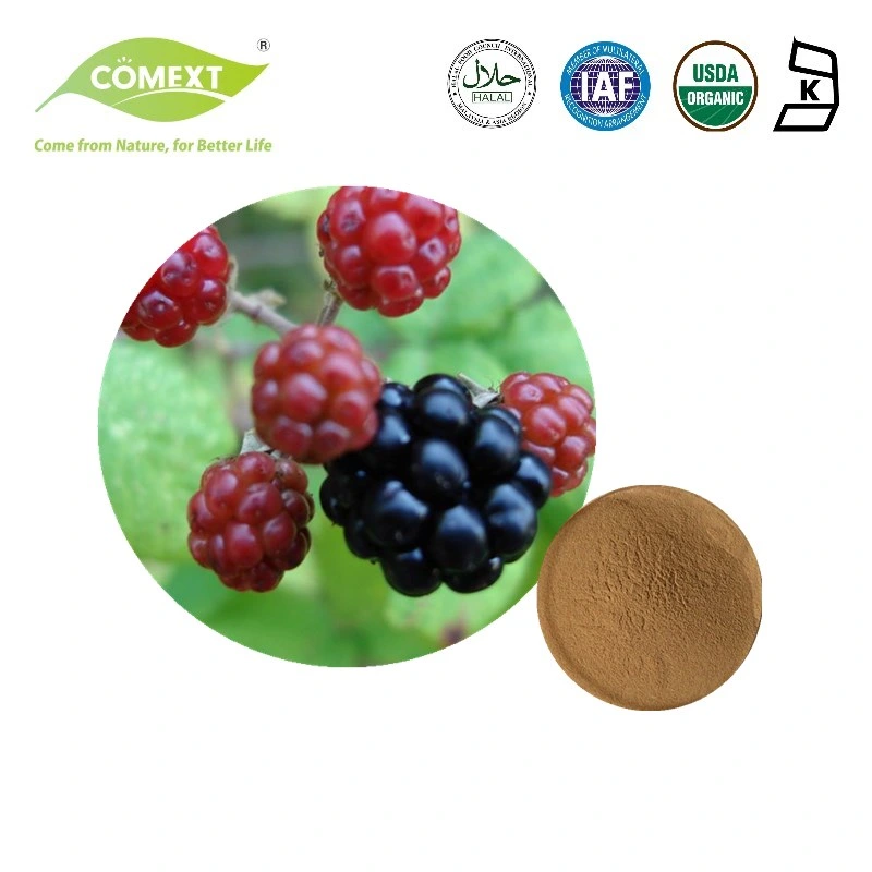 Comext Best Price Pesticide Free Plant Extract Raspberry Extract Powder for Eye Protection