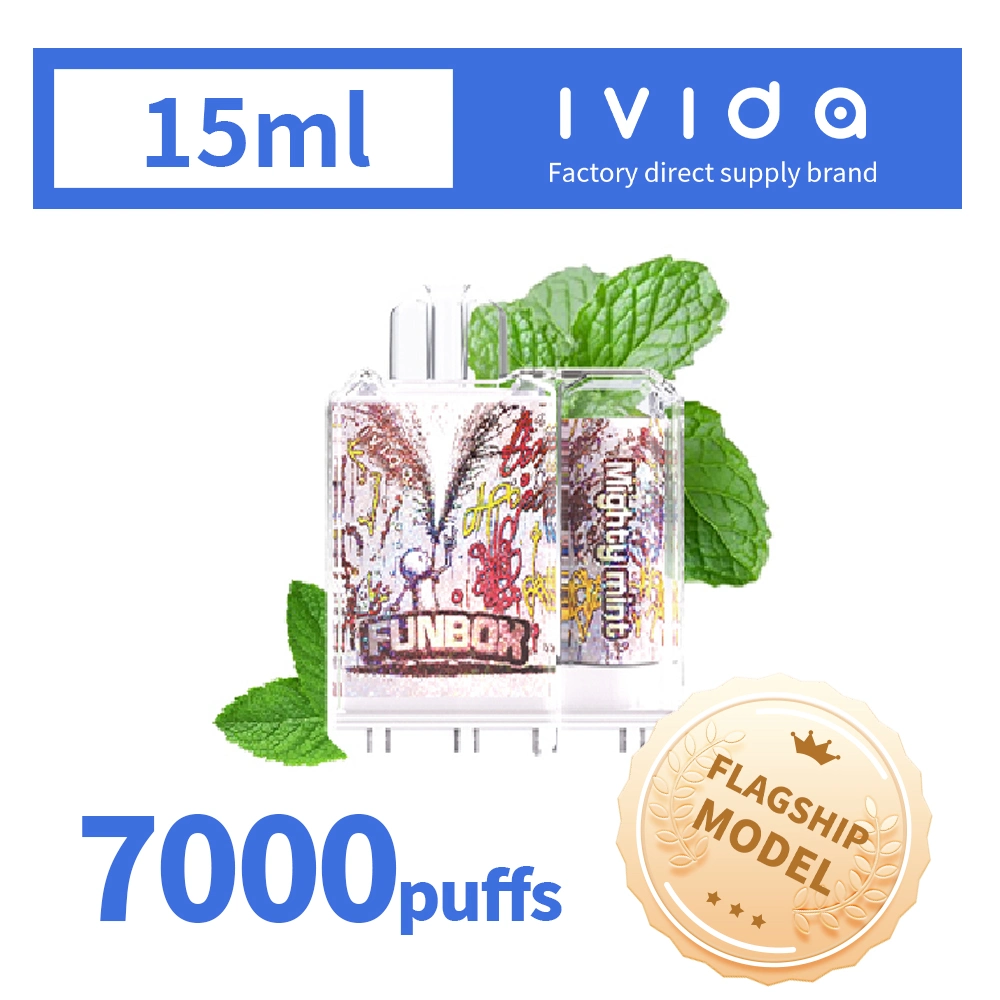 Wholesale/Supplier 12ml Custom Disposable/Chargeable White Label Big 6000 7000 9000 Puff E Cig Ebay Mesh Coil Disposal Bar Dubai Boom Again Flava Crystal Smoking Vapes with Charger