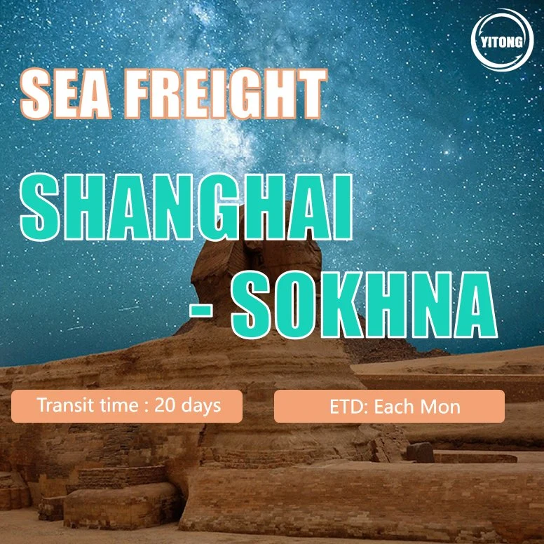 China Shipping to Egypt Sea Freight From Guangzhou to Sokhna China Shipping to Sokhna Price Logistics to Egypt Air Shipping From China to Cairo