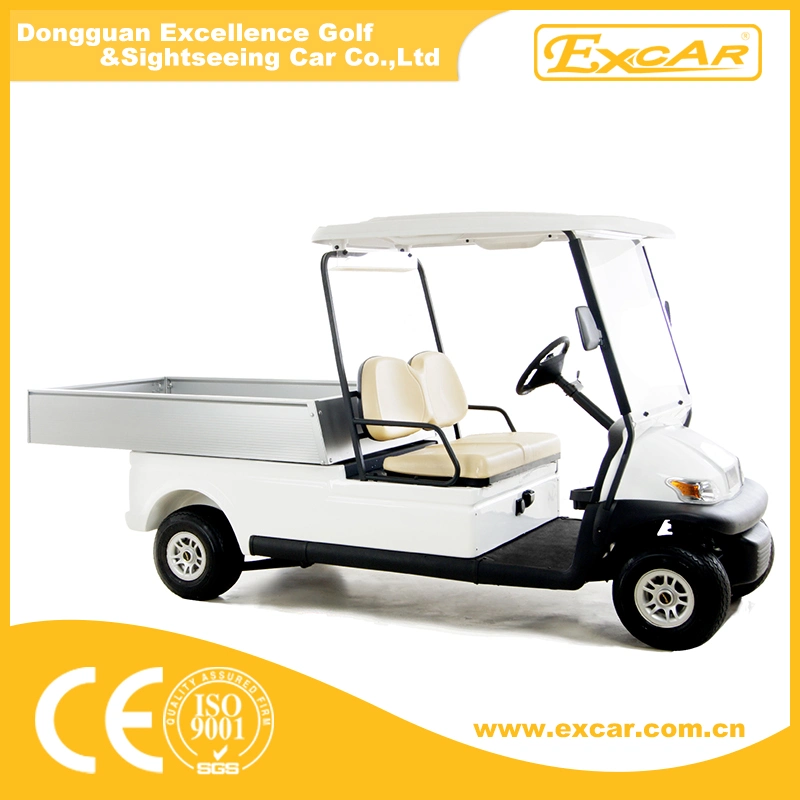 Hot Sale 2 Seater Electric Cargo Car