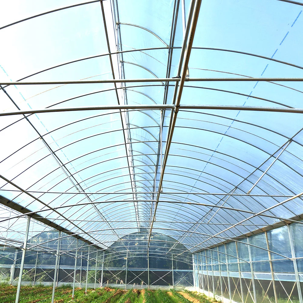 Commercial Agricultural Waterproof Plastic Anti-Static No Dust Po Greenhouse Film for Garden Vegetable Flower Seedling Cultivate