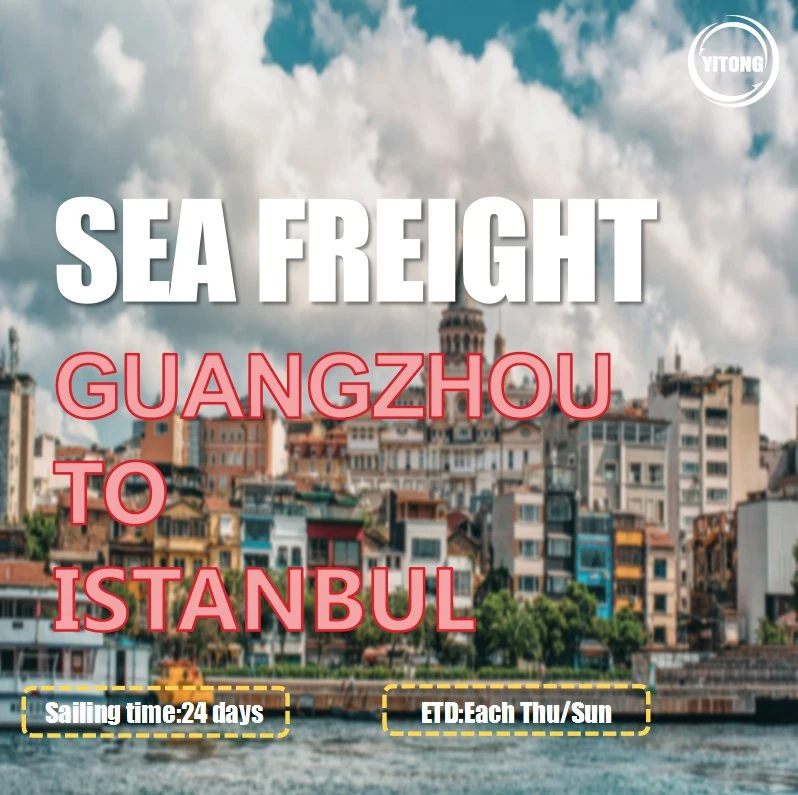 Sea Freight FCL LCL From Qingdao to Istanbul Kumport Ambarli Turkey