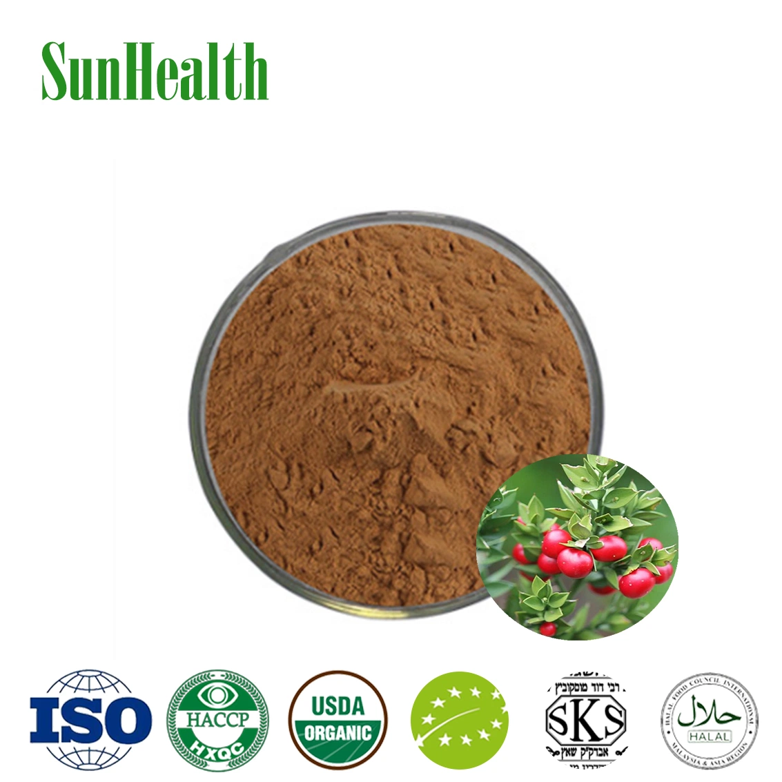 High Purity Pseudoleaf Extract Ruscogenin 10% 50% Butchers Broom Extract