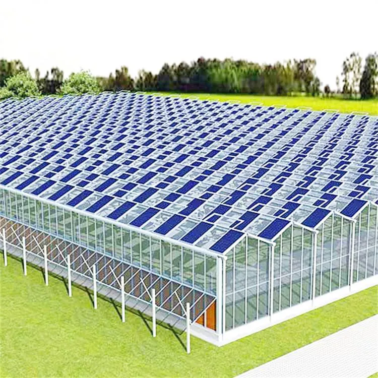 Muti-Span Agriculture Venlo Glass Greenhouses Smart Eco-Friendly Solar Photovoltaic Greenhouses for Agriculture with Hydroponics Systems for Vegetables/Flowers