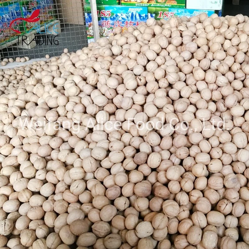 New Crop Export Standard Halal Kosher Certificated China Wholesale/Supplier Paper Shell Walnut