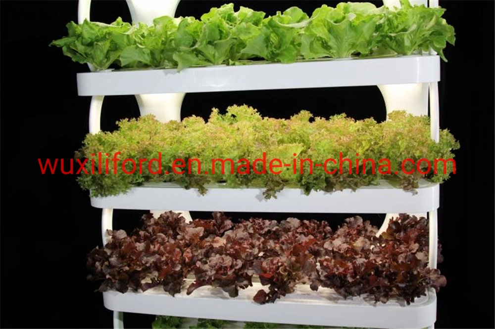 Smart Home Office Mini Farming Automatic Control Hydroponics Grow System