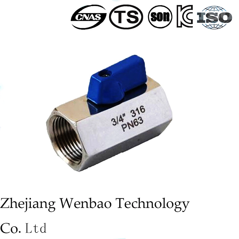 Male Threaded SS304 SS316 Butterfly Handle External Thread Stainless Steel Brass Mini Ball Valve for Hose and Pipe