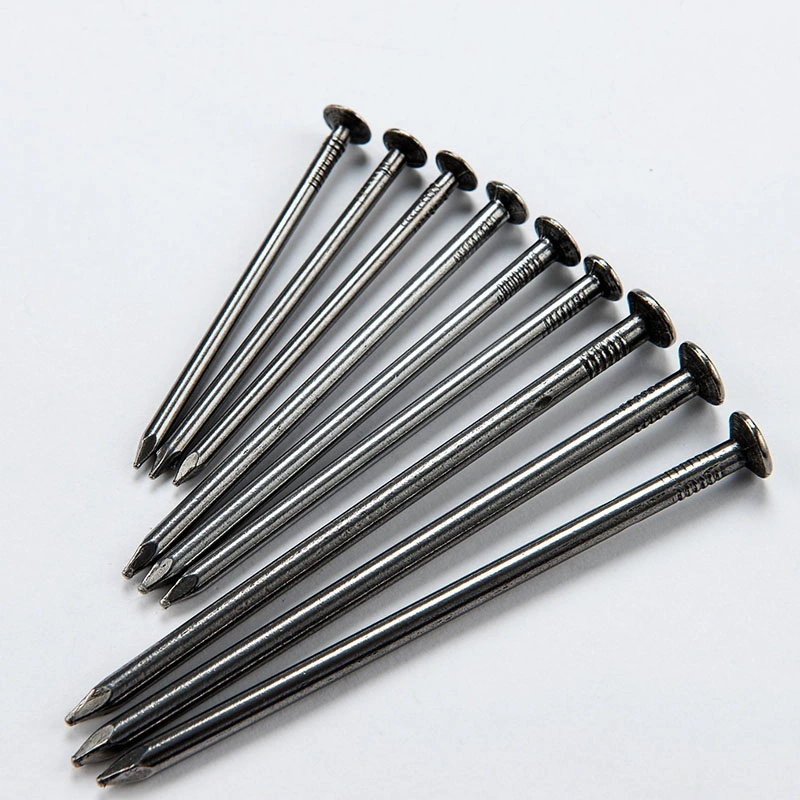 New Hot Selling Stainless Steel Round Head Nails Wholesale/Supplier Good Price