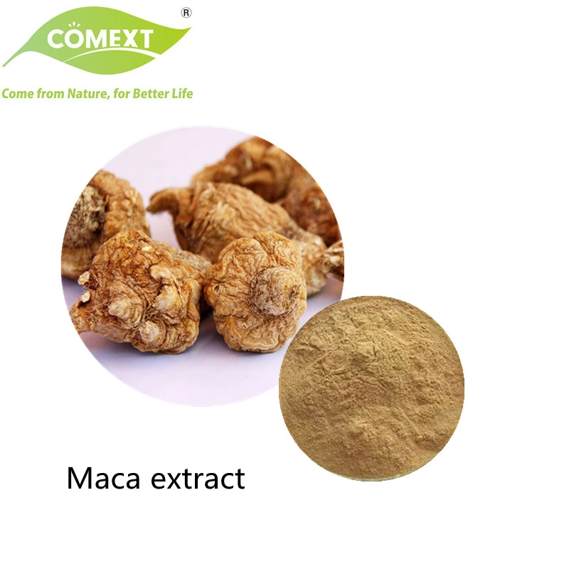 Comext Factory High quality/High cost performance  Competitive Price Natural Food Maca Root Extract Brown Yellow Powder 10: 1 0.6% Macamides for Male Health