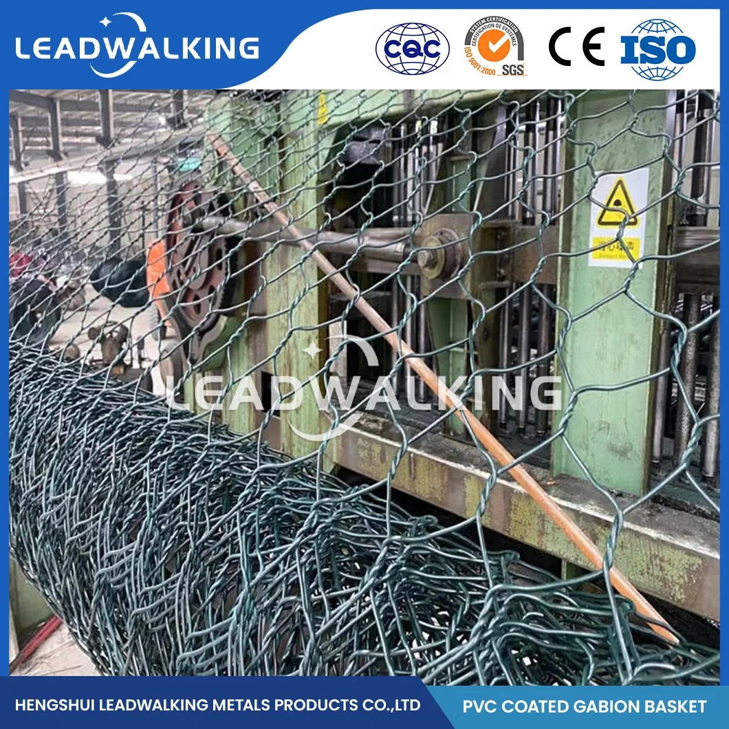 Leadwalking 3.5mm PVC Wire Diameter Hexagonal Wire Mesh Gabion / Gabion Basket Manufacturers PVC Coated Gabion China 60&times; 80mm Mesh PVC Coated Gabion Box