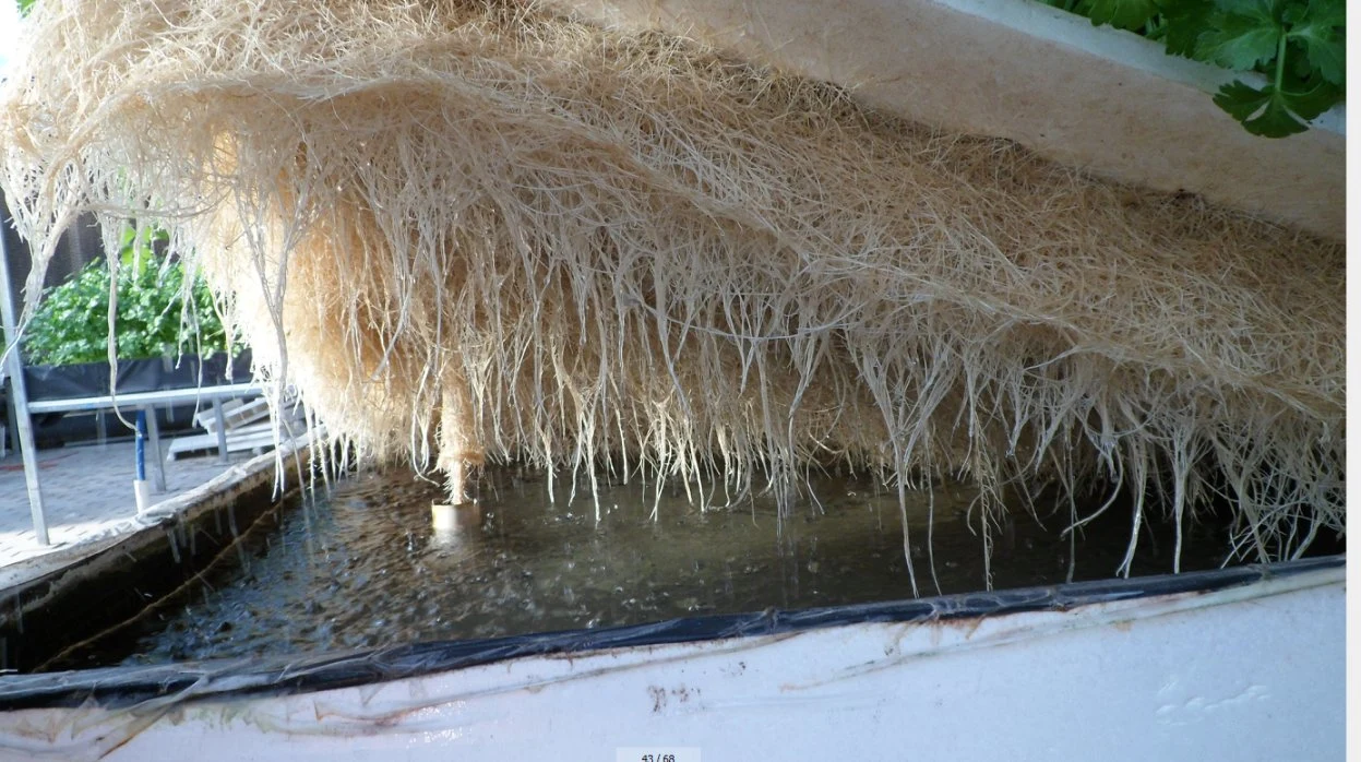 Floating Foam Board Hydroponics Planting System for Leafty Vegetables