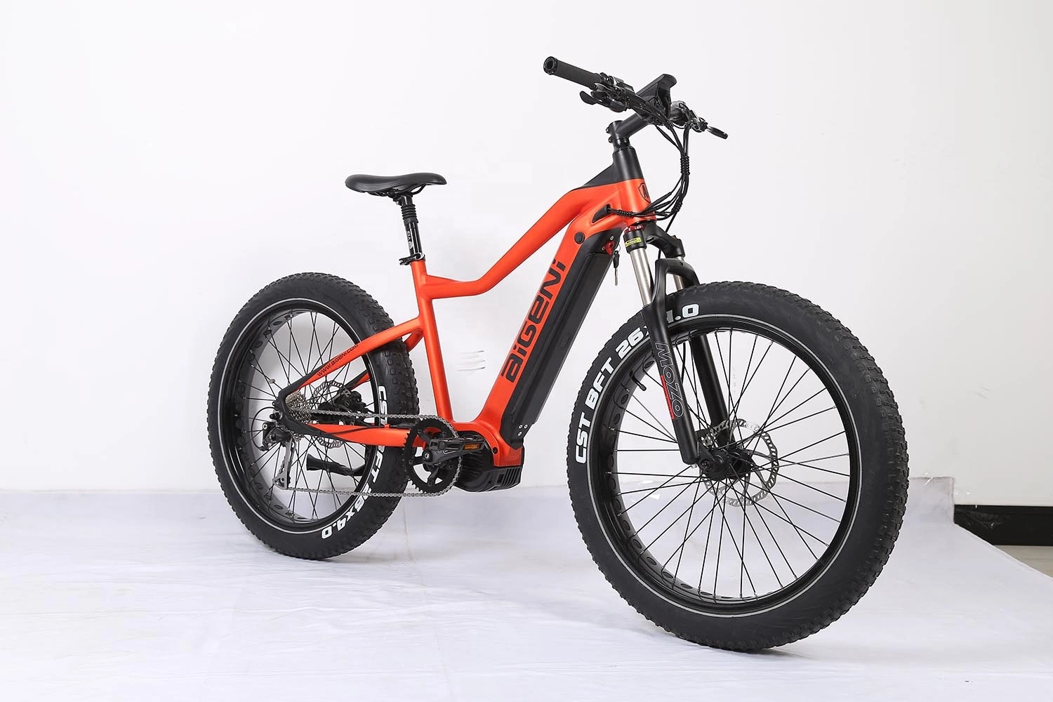 Strong 48V1000W M620 Middle Motor Powerful Electric Bike MTB E-Bike Retail Wholesale/Supplier