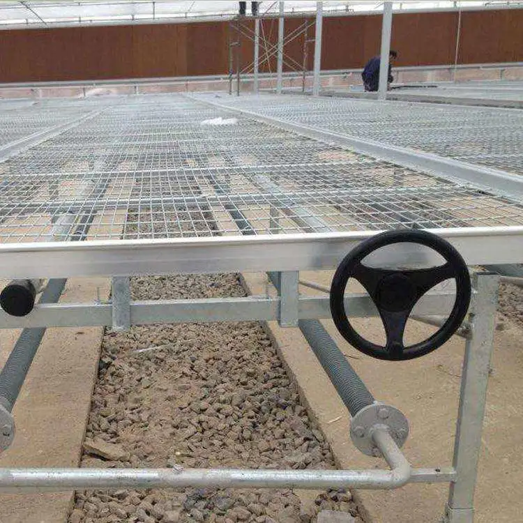 Factory Wholesale/Supplier Greenhouse Movable Seeding Beds for Flowers/Young Plants