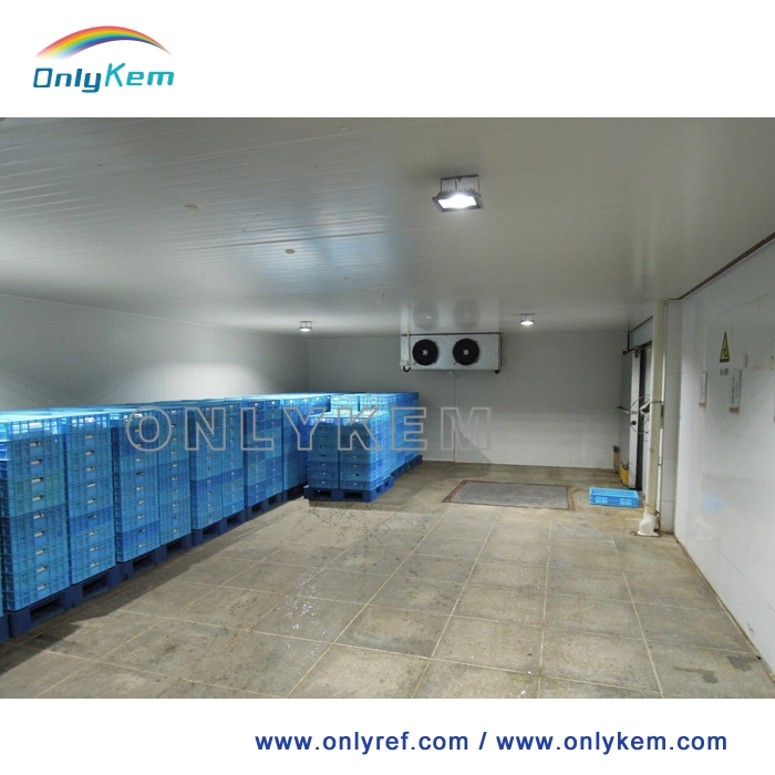 Walk in Freezer Cold Storage Cold Room Use Polyurethane Sandwich Panel with Refrigeration Equipment Condensing Unit Cooler