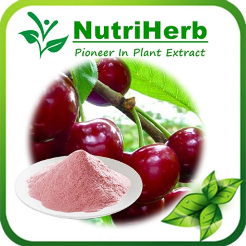 100% Water Soluble Acerola Cherry Extract Powder 17% 30% Vitamin C.
