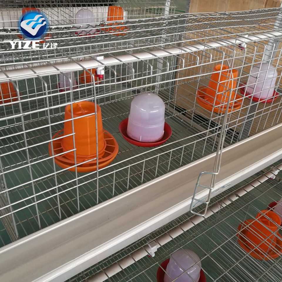 High quality/High cost performance  Automatic Laying Hen Cages Broiler Poultry Equipment Cage Free Layer Chicken Feeder