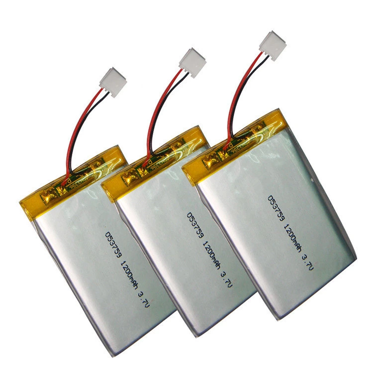 48V Lipo Battery Small Lithium Polymer Battery 6200mAh Lithium Polymer Battery Lithium Polymer Battery for Electric Vehicle