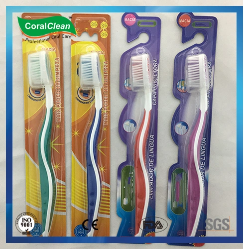 Economical Personal Care Adults&prime; Toothbrush