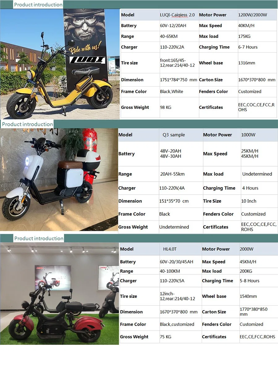 China Luqi Manufactory Three Wheel EEC Approved Electric Motorcycle