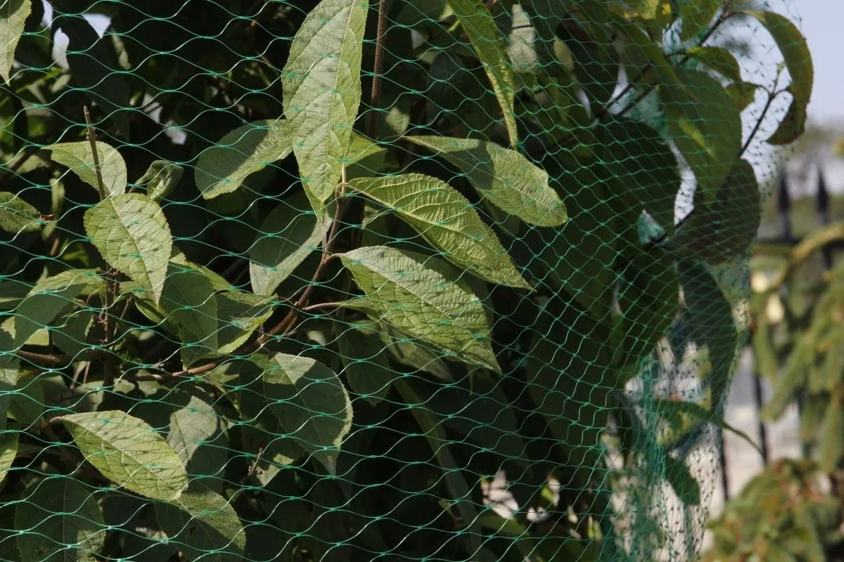 Red Antiaves de HDPE virgen para la Agricultura