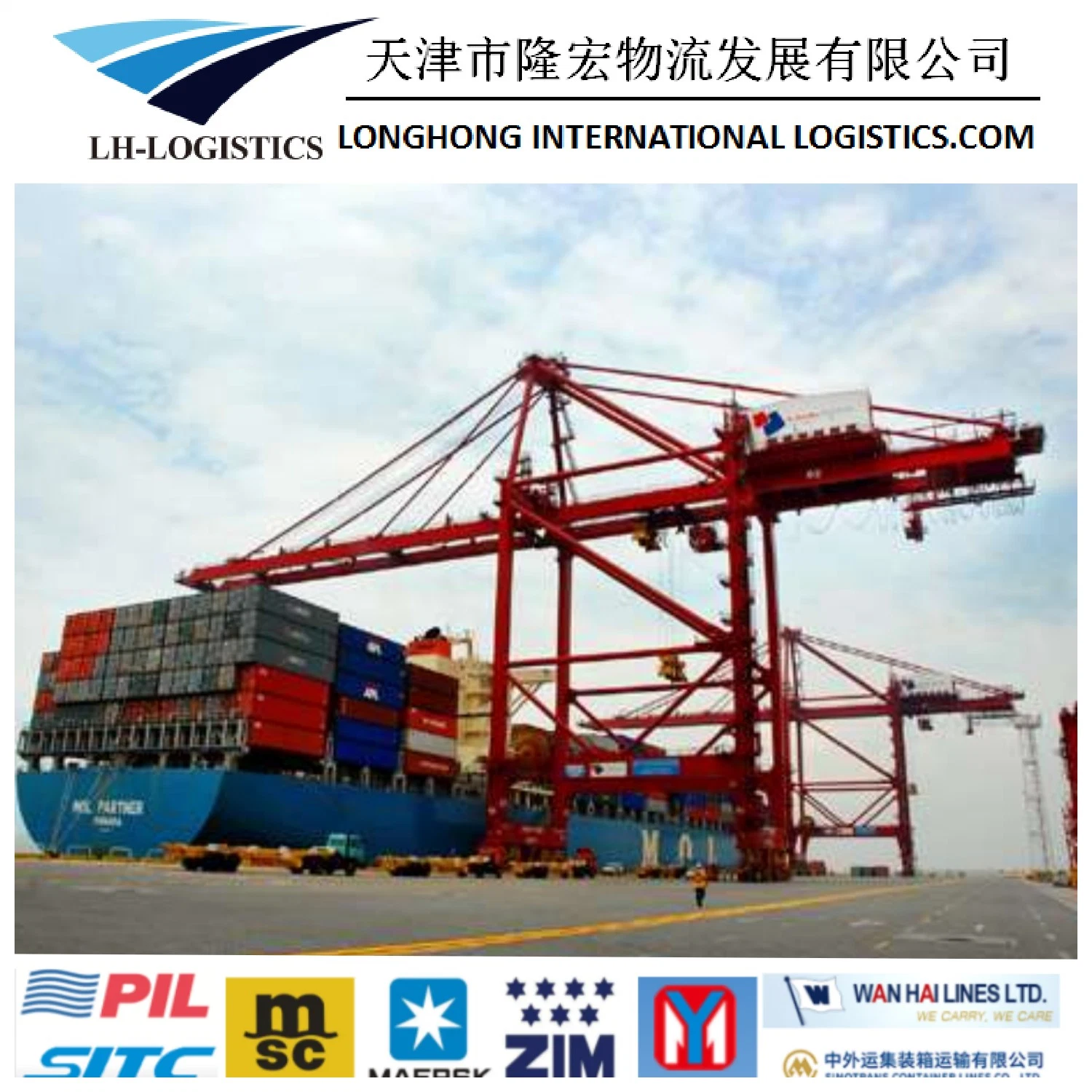 International Sea Freight Shipping Company Professionelle chinesische lokale Versand Spediteur nach Australien.