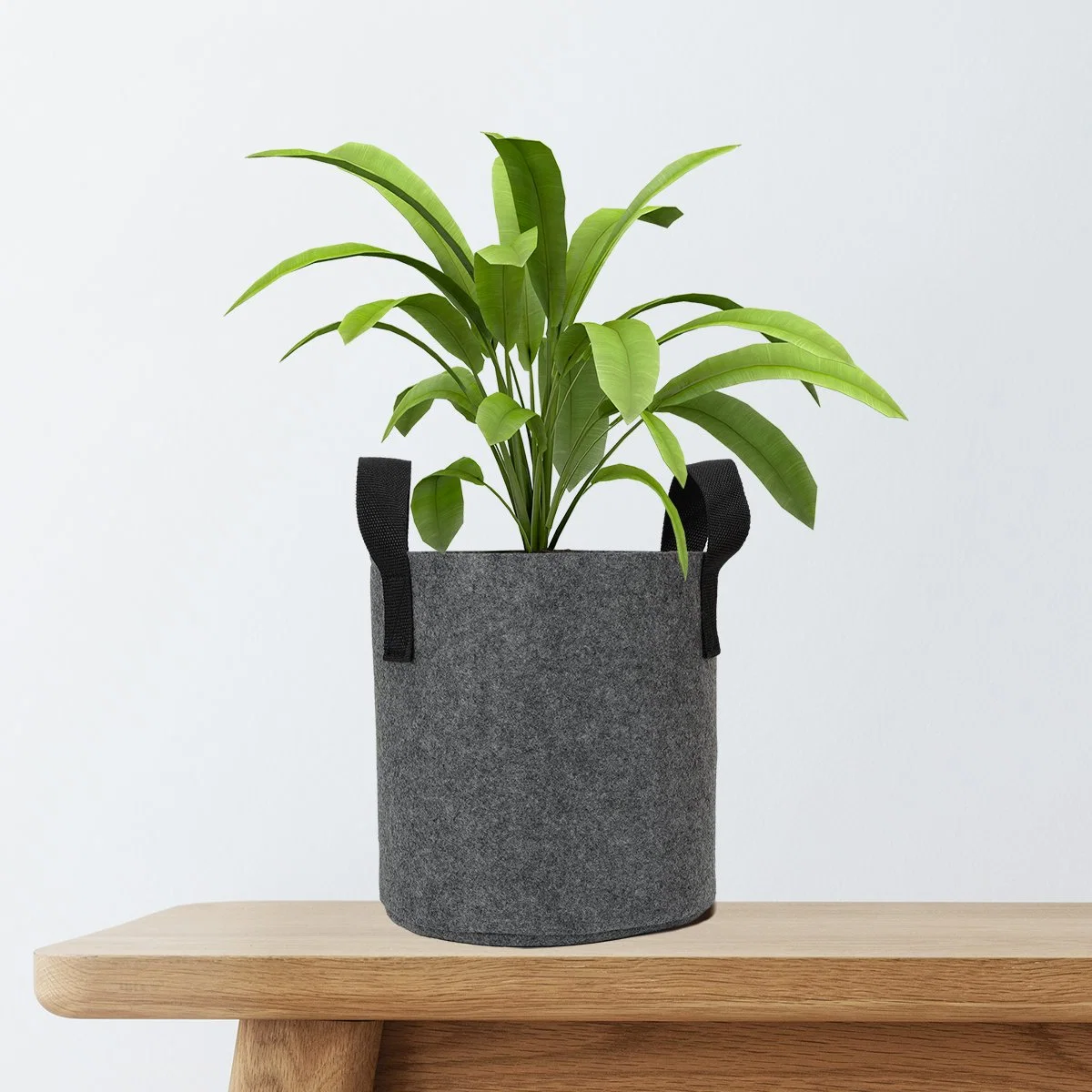 Black Green Grey Color Add Logo OEM Fabric Grow Pots for Plants