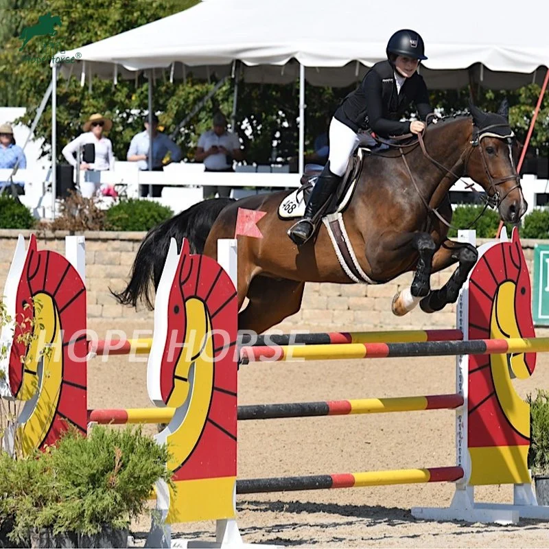 Horse Show Jumping usa alas Aluminium Saltar representa para la escuela salta