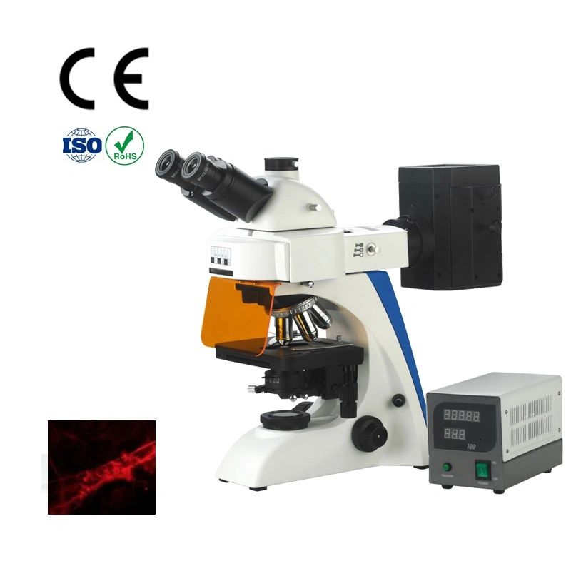 Laboratório de fluorescência de microscópio de tubos com Camerafor Digital Microescopos Baku