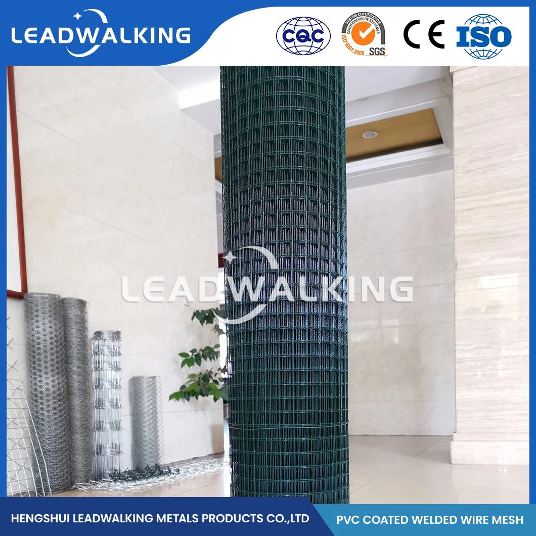 Malla de alambre soldado Leadwalking Fabricators recubierto de PVC 1/2 pulgadas recubierto de PVC Mallas Soldadas China 1/4 pulgadas recubierto de PVC negro Mallas Soldadas para Bird Cage