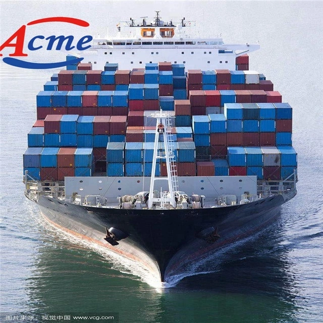 Sea/Air/Railway Shipping Service to Australia/Russia/America