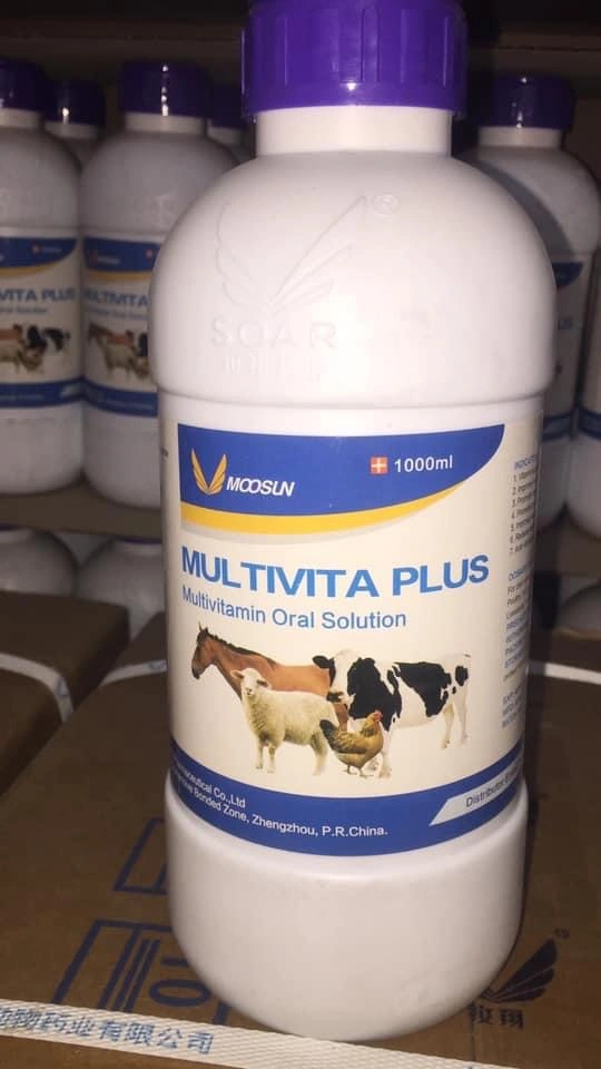 Veterinary Medicine Multi-Vitamin Oral Solution for Animal Use