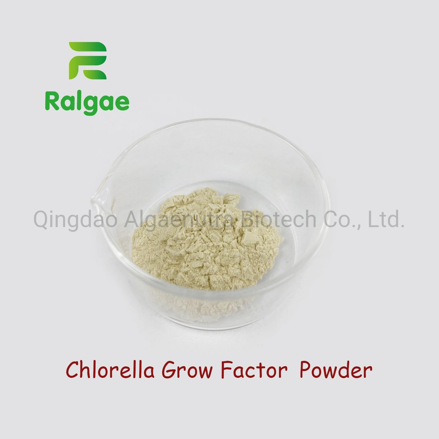 Cgf Chlorella Chlorella facteur de croissance de l'Extraction Aliments Grade que Piement comestibles