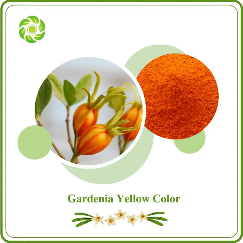 Bienestar mundial ISO Biotech&amp;certificado FDA aditivo alimentario Color Natural de pigmento de alimentos de color amarillo Gardenia