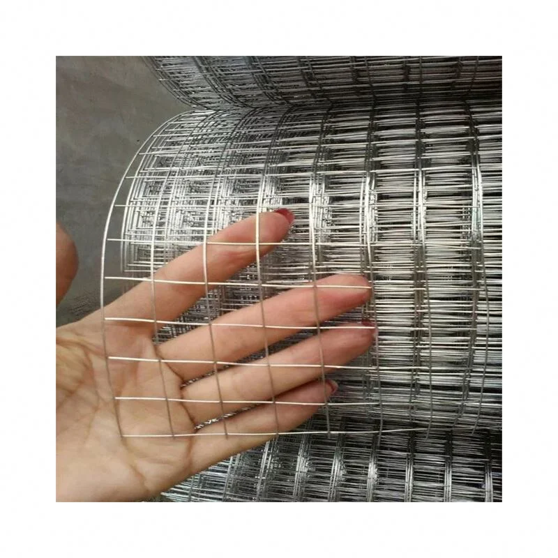 Welded Wire Mesh Stainless Steel Welded Wire Mesh for Fencing