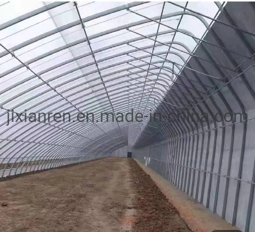 Commercial and Easily Installed Multi Span Greenhouse for Agriculture