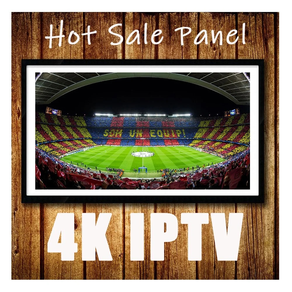 Subscrição de TV IPTV mundial 4K 8K FHD Premium 12 meses, Europa total América do Norte Canadá Latino Espanha Suécia Exyu Holanda Albânia XXX M3U List Reseller Panel (Painel de revendedor da lista M3