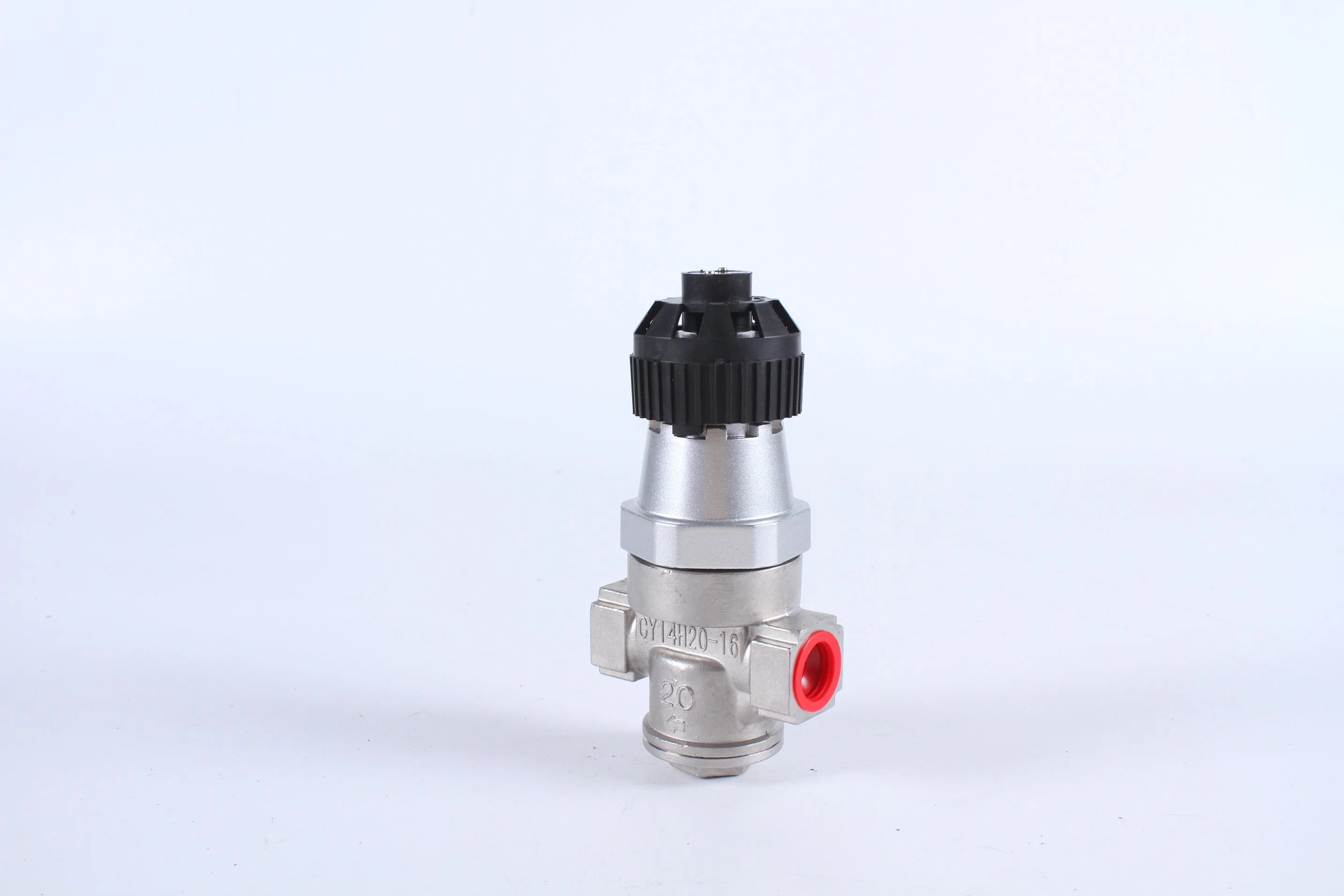 Steam Pressure Regulator with Stainless Steel Body