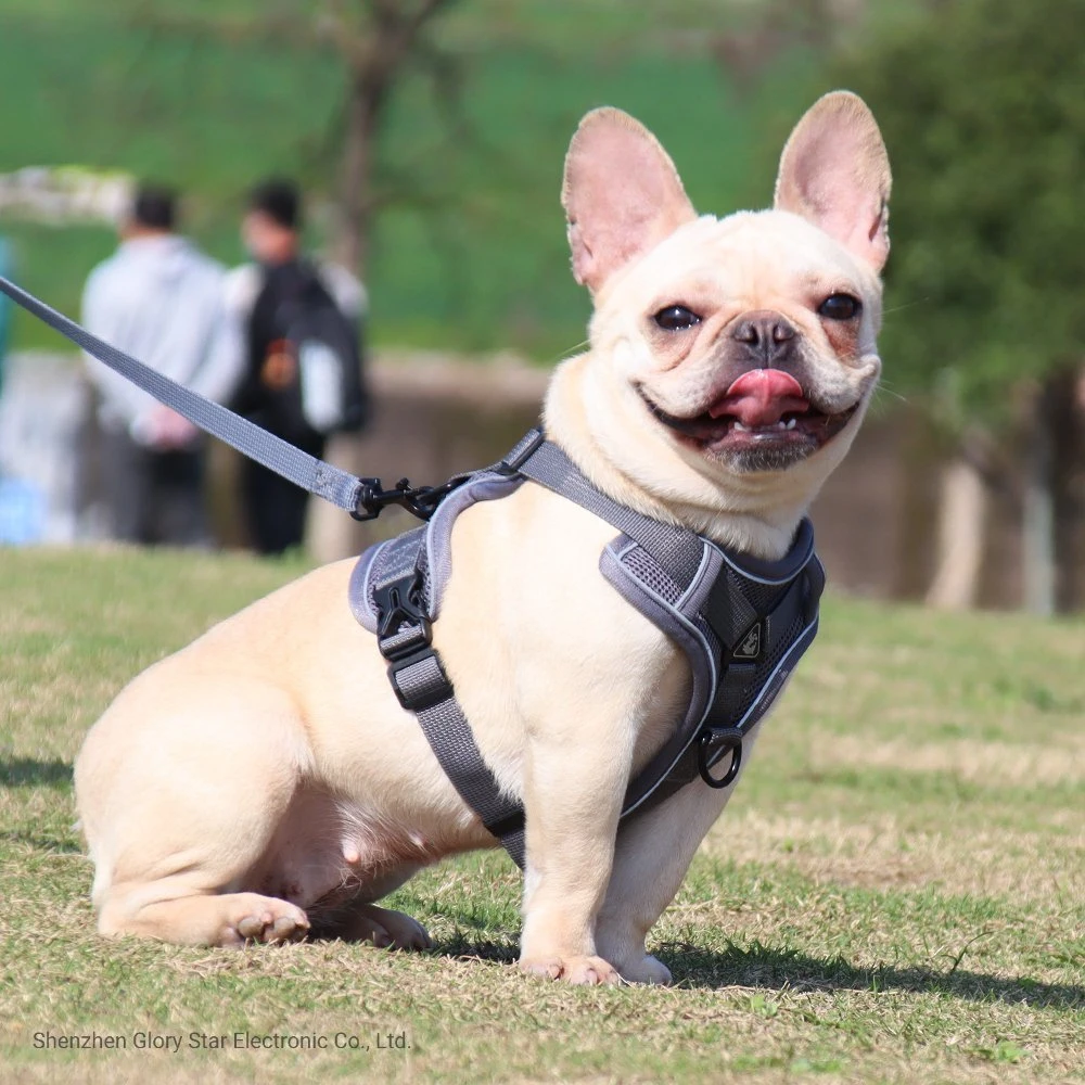 Adjustable Reflective Pet Vest Dog Harness Leash Set Pet Products