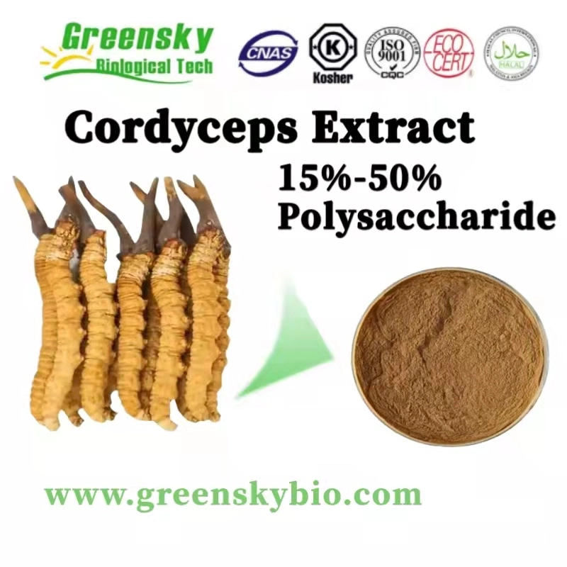 Organic Natural Pure Cordyceps Extract 15%-50% Polysaccharide Pure Natural Plant Extract Healthy Food Additive