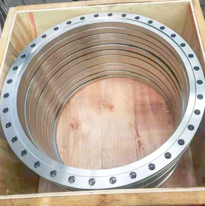 GOST/BS En RF/FF/Rtj Carbon Steel /Stainless Steel /Alloy Steel Forged Wn/So/Sw/Threaded/Plate/Socket/Blind Flange