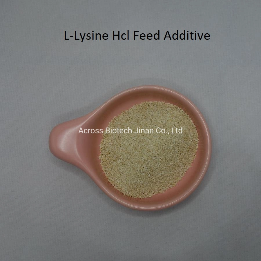 Animal Feed Nutrient Enhancer L Lysine HCl 98.5% CAS 72-18-4