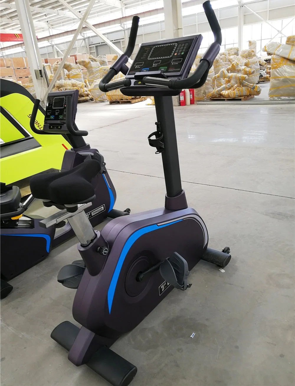 Luxus Cardio Maschine Kommerzielle Nutzung Aufrechte Fahrrad Tz-2030