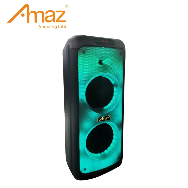 Amaz Hot Sales Double 10 Inch Sound Box Bluetooth Portable Speaker